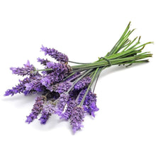 Carregar imagem no visualizador da galeria, Óleo Essencial de Lavanda - Lavandula Angustifolia